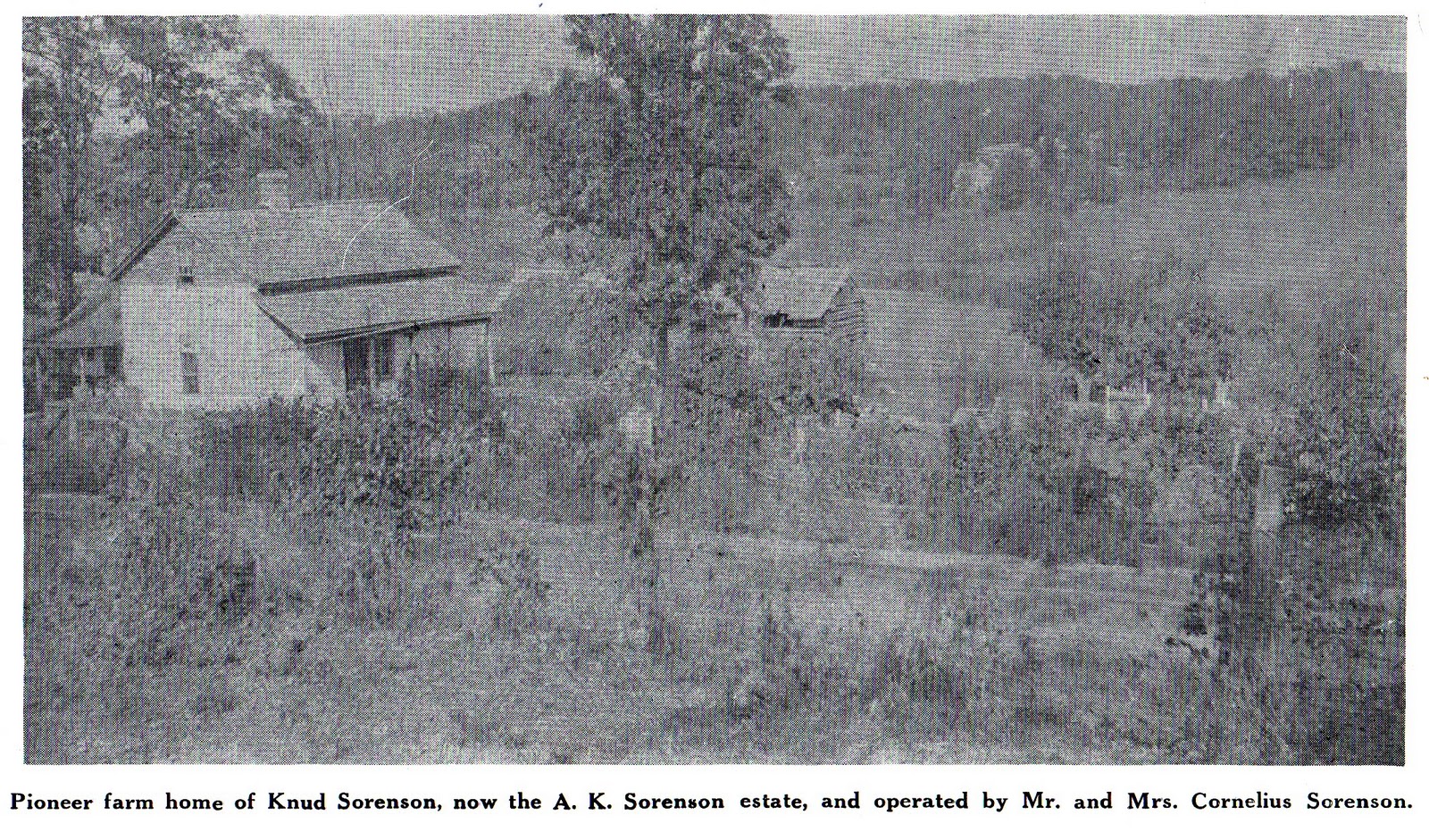 Roots'n'Leaves Amanuensis Monday, 2012 January 30th Centennial