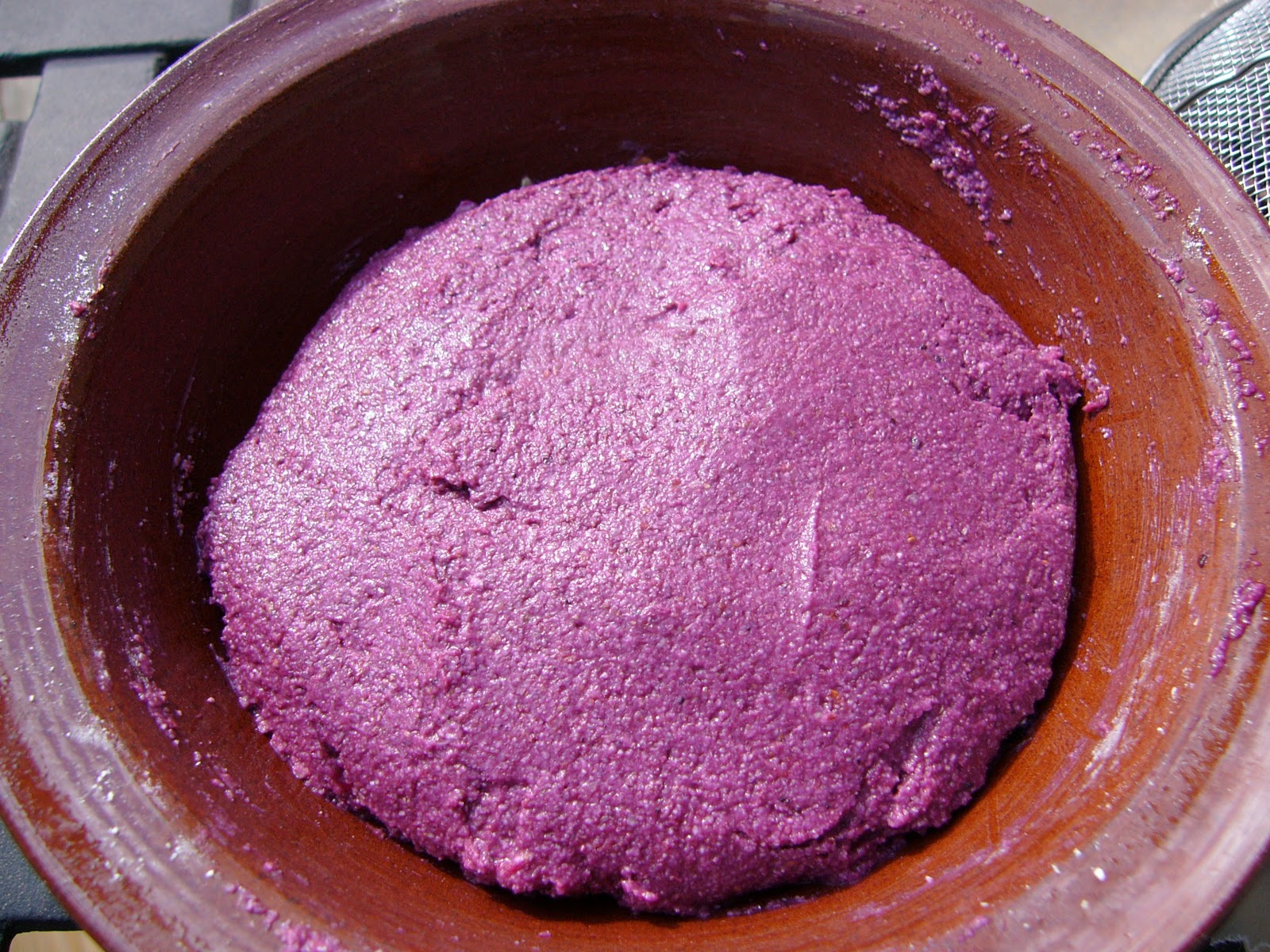 Tebasiles Kitchen Wild Grape Sourdough Starter