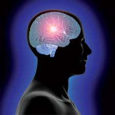 webhealthguides.net human brain