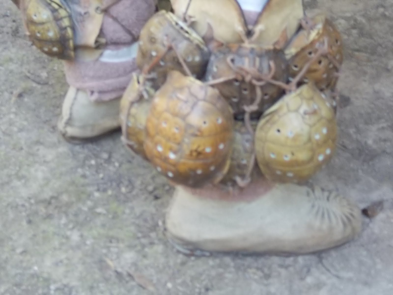 The Plumed Conch Leg Rattles Native Dancers