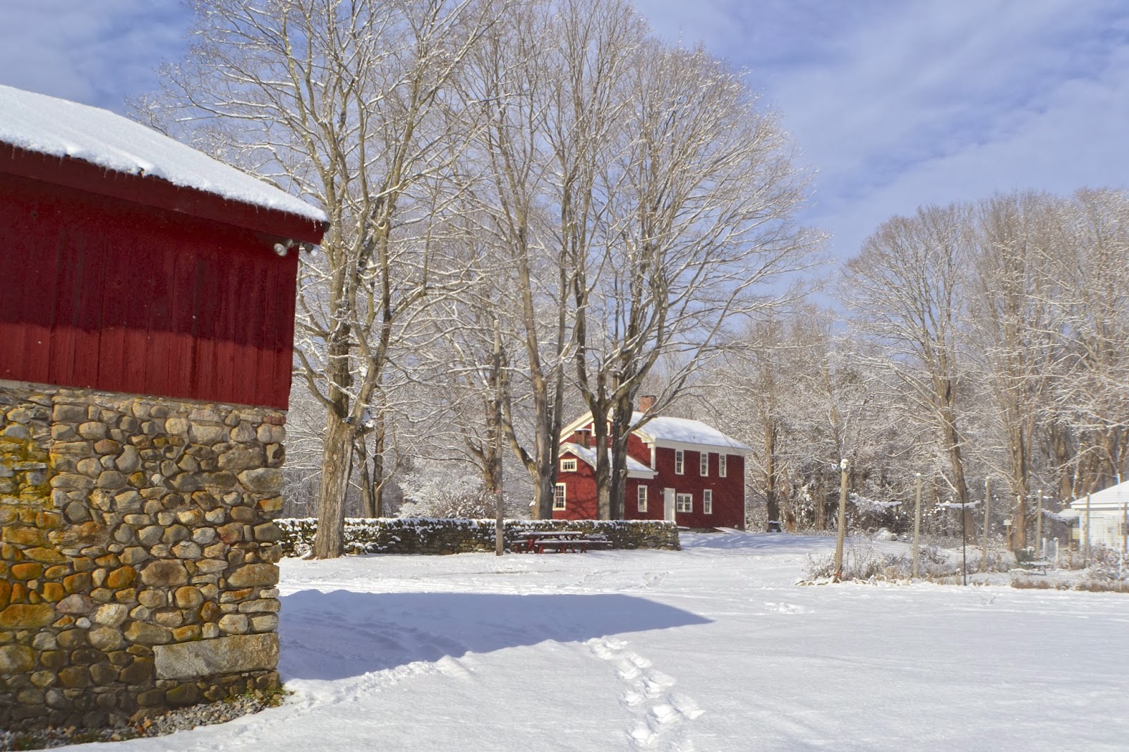 Focus On Killingworth, CT and Surrounding Towns Snow Scenes at