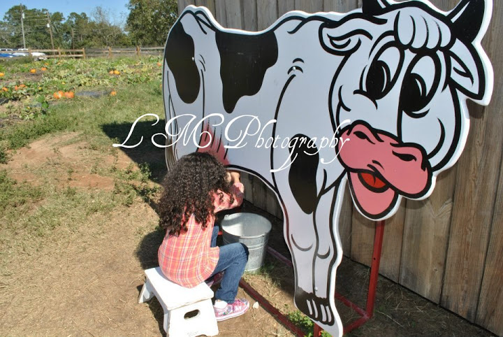 Steed Dairy Farm Ga