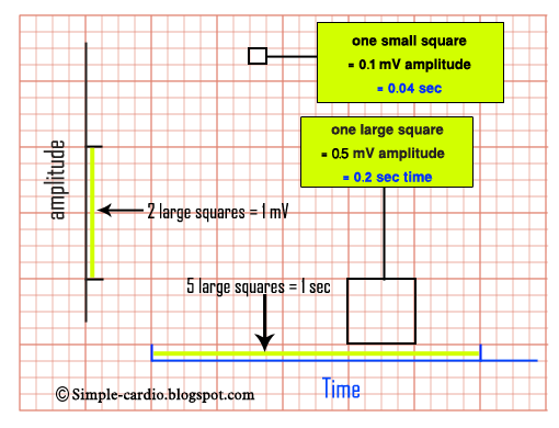 simple cardiology ecg ekg paper when looking at ecg graph paper one large box represents