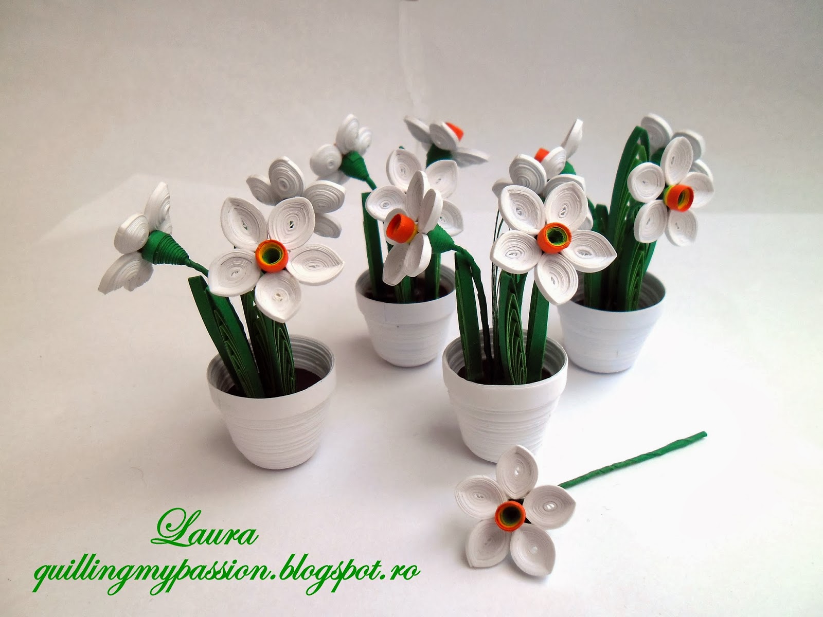 quilling my passion miniatura quilling/quilled miniature