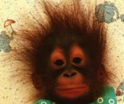 Orangutan primata cerdas