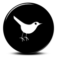 Twitter Iconos