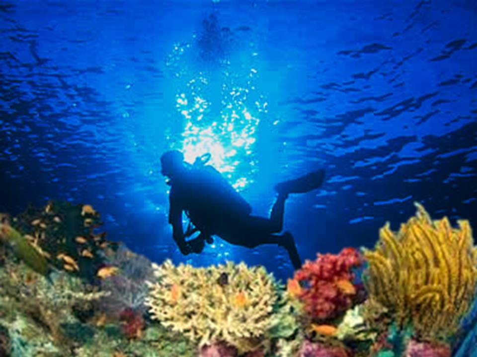 Philippines Voted "Best Value of Diving Dollar" by the Scuba Diving
