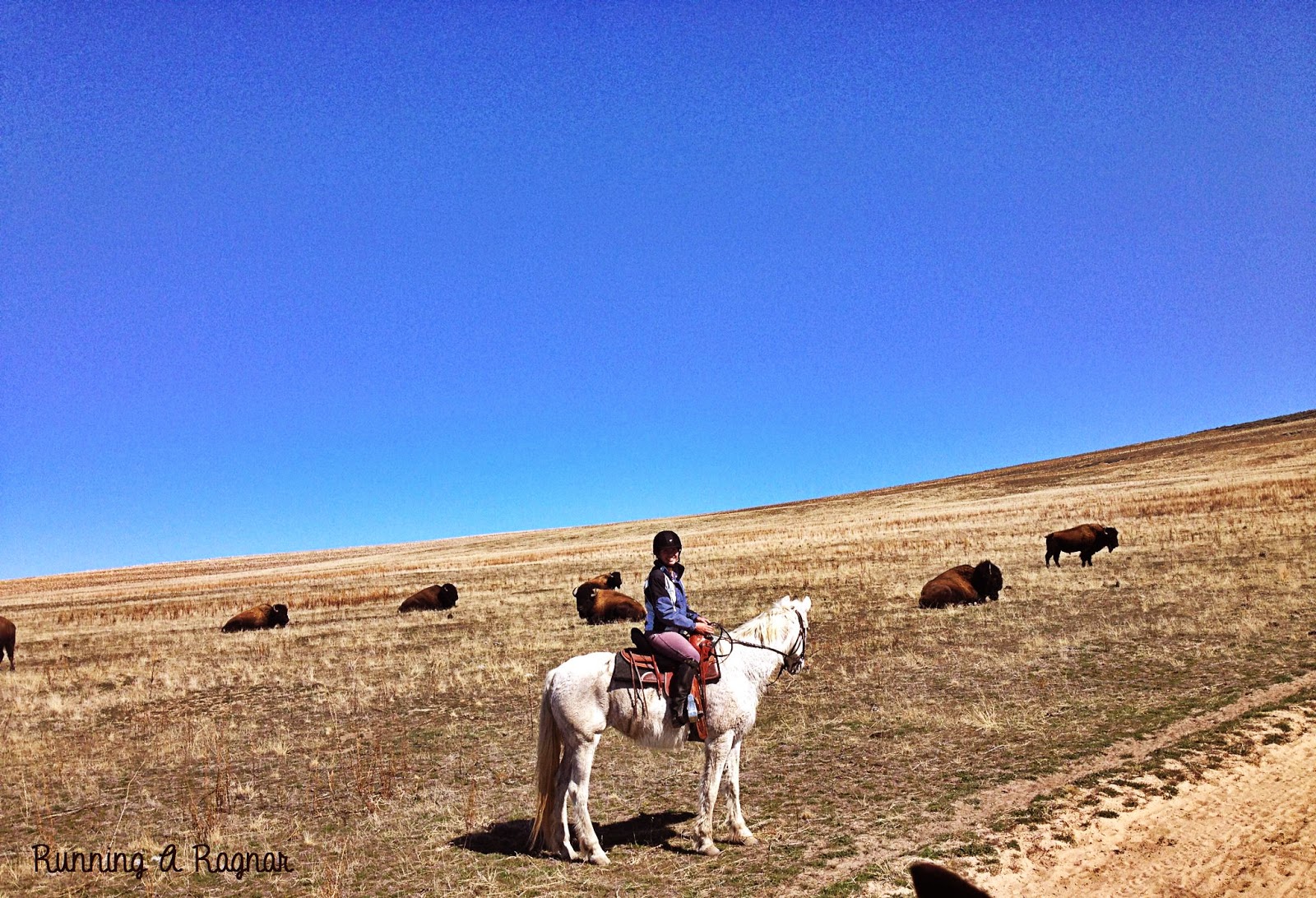 Katie Wanders Horseback Riding on Antelope Island, Utah