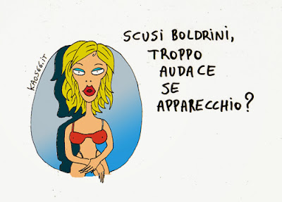 Vignetta su Boldrini