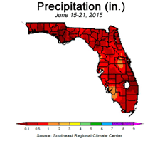 Florida Precipitation