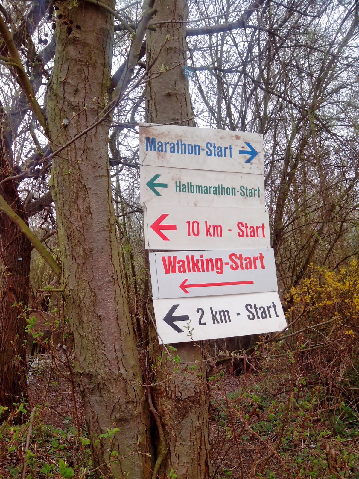 Mein Probetraining Bei Crossfit First Class Hannover