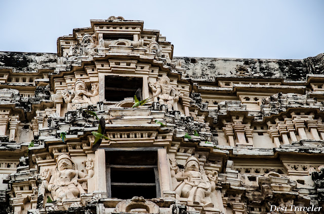 Parrots at Hampi Sacred Center Temple birds have nested in tower of Hampi Temple