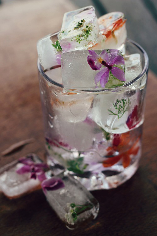 Summer fun with edible flowers - flower ice cubes