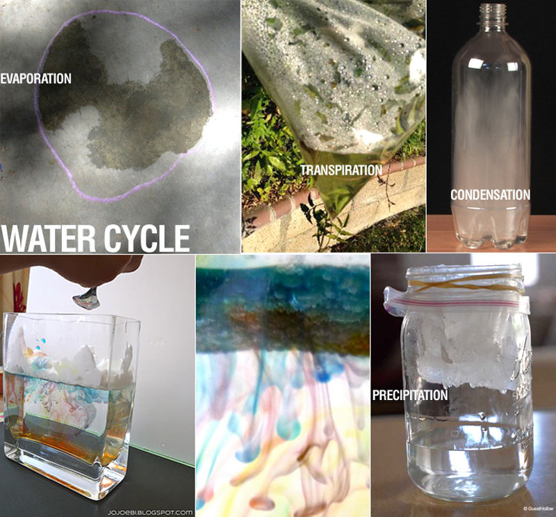 E is for Explore! Precipitation, Evaporation, Transpiration, Condensation