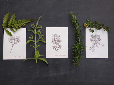 A6 botanical notelet cards from shop.alfies-studio.com