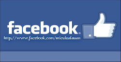 Like pe Facebook