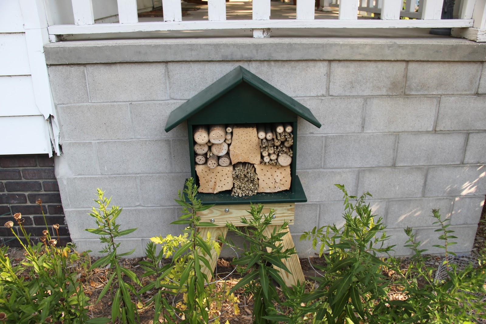 Isabella Conservation District Environmental Education Program