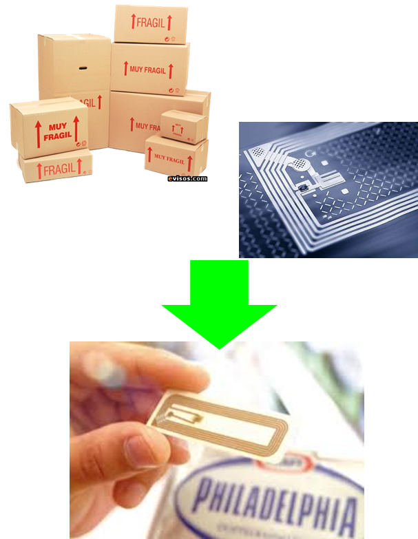 KELLYZITA CASO 14 WALMART VS RFID