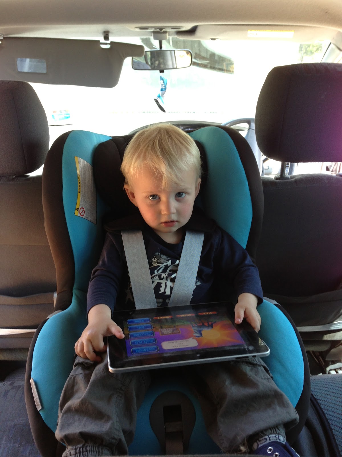 iSophie Rear Facing Carseats until age 4.