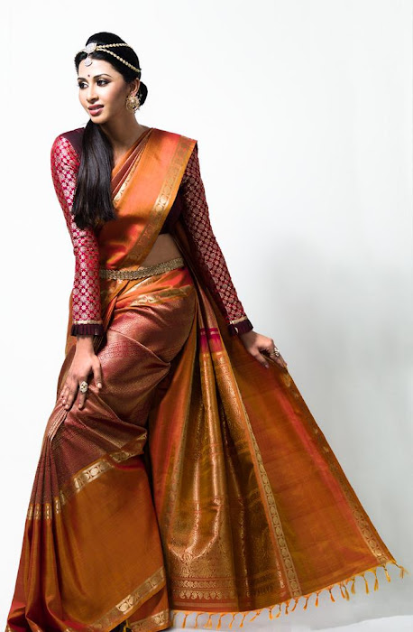 gayathiri wonderful saree ad collections 2012 unseen pics