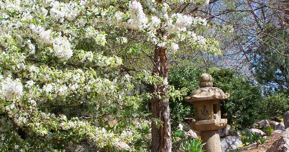 Albuquerque Botanical Garden