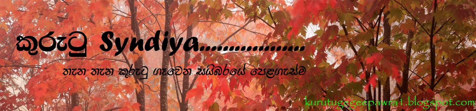 කුරුටු සින්ඩිය.................