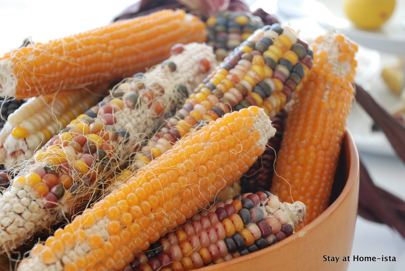 Stay at Homeista Popping Corn off the Cob