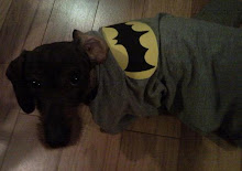 Batdog