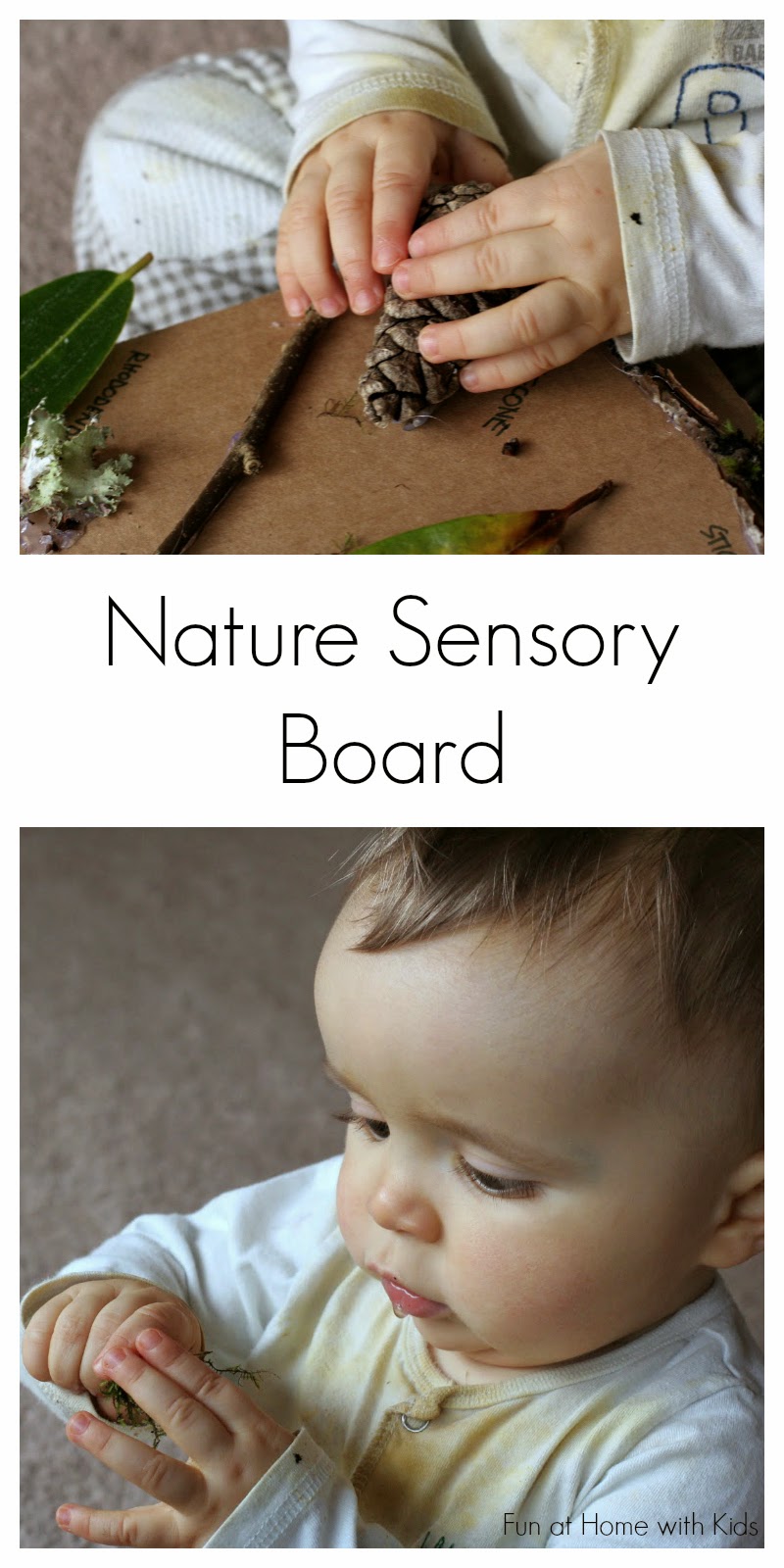 Nature Sensory Board