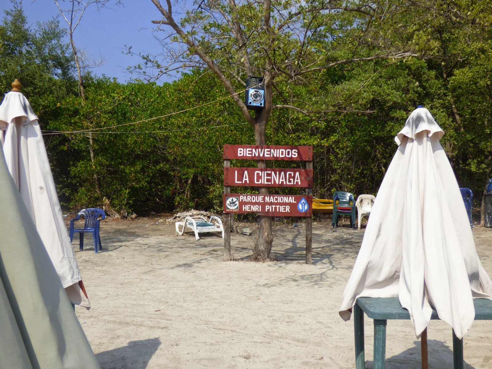 Guarapa Turística La Ciénaga de Ocumare de la Costa
