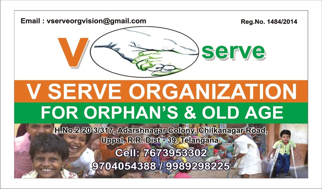 v serve organization