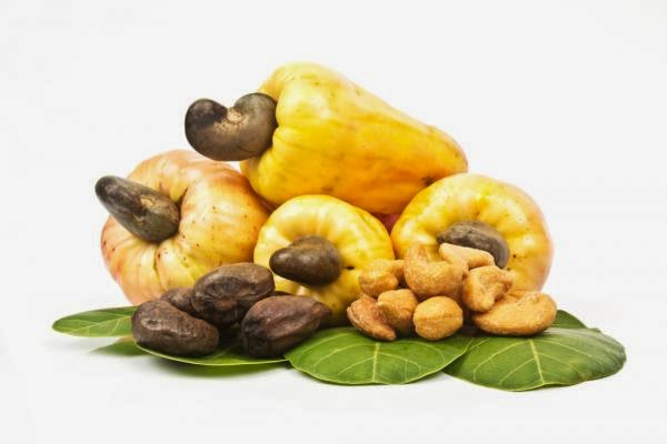 The One Bacteria That Causes Tooth Decay, Acne, Tuberculosis and Pneumonia Can Be Killed By This One Seed