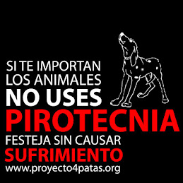 no a la pirotecnia