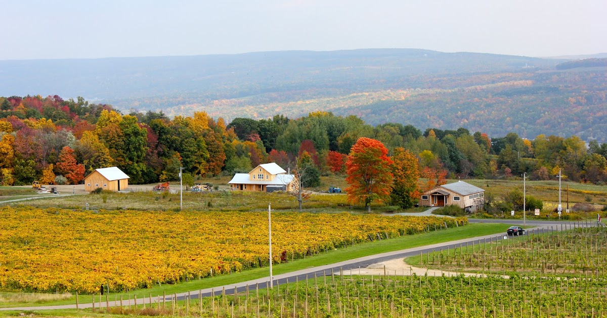 My Life On A Plate New York's Finger Lakes... Fall Foliage Extraordinaire