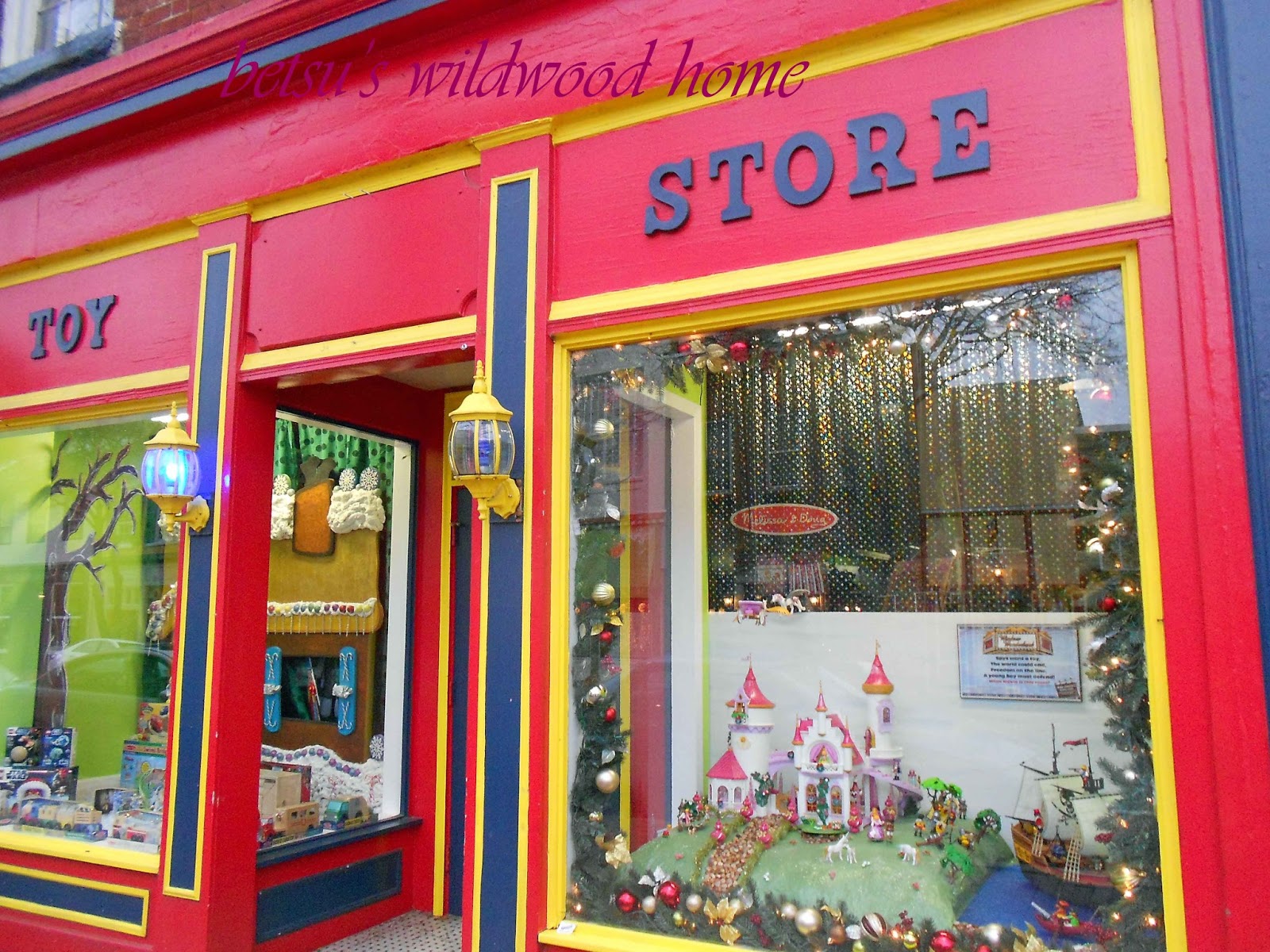 Wildwood Christmas 2nd of Fredericksburg Va. and home pix