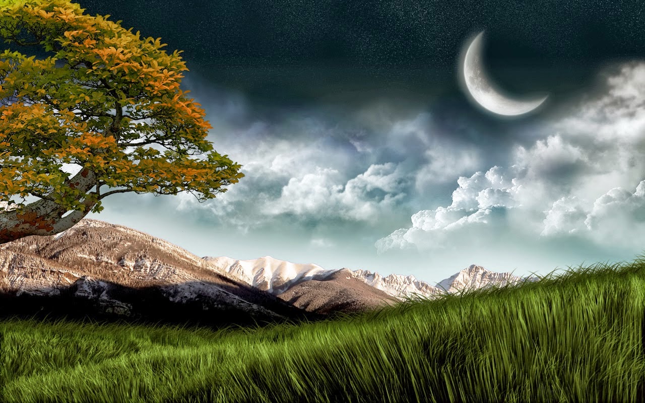 Global Pictures Gallery: 3D Nature Full HD Wallpapers