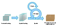 The SCRUM process