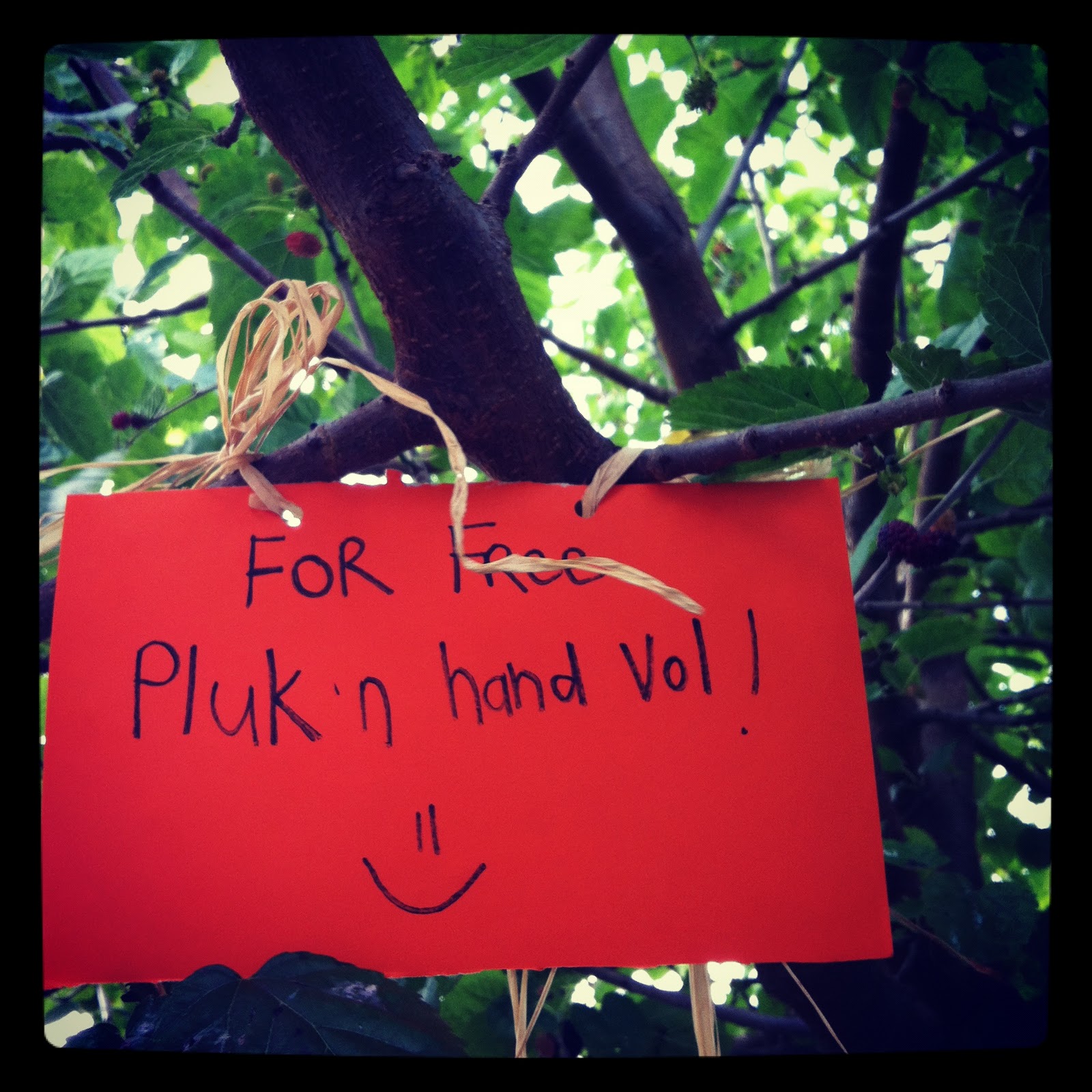 liefdewen Ek weet nie