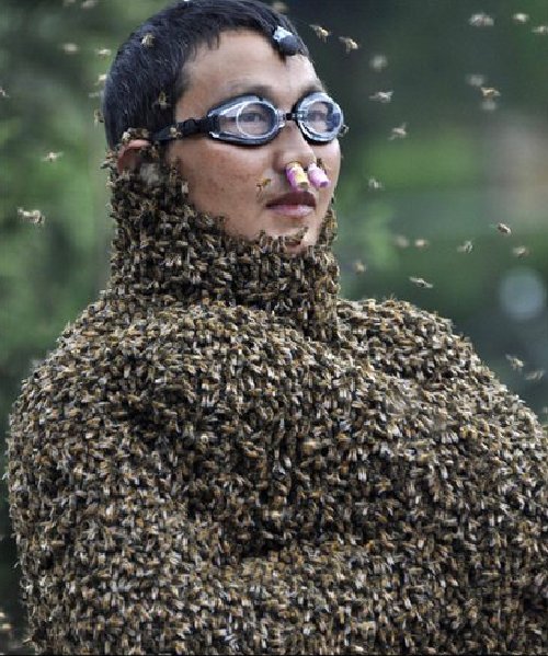 Something Surprising Bee wearing