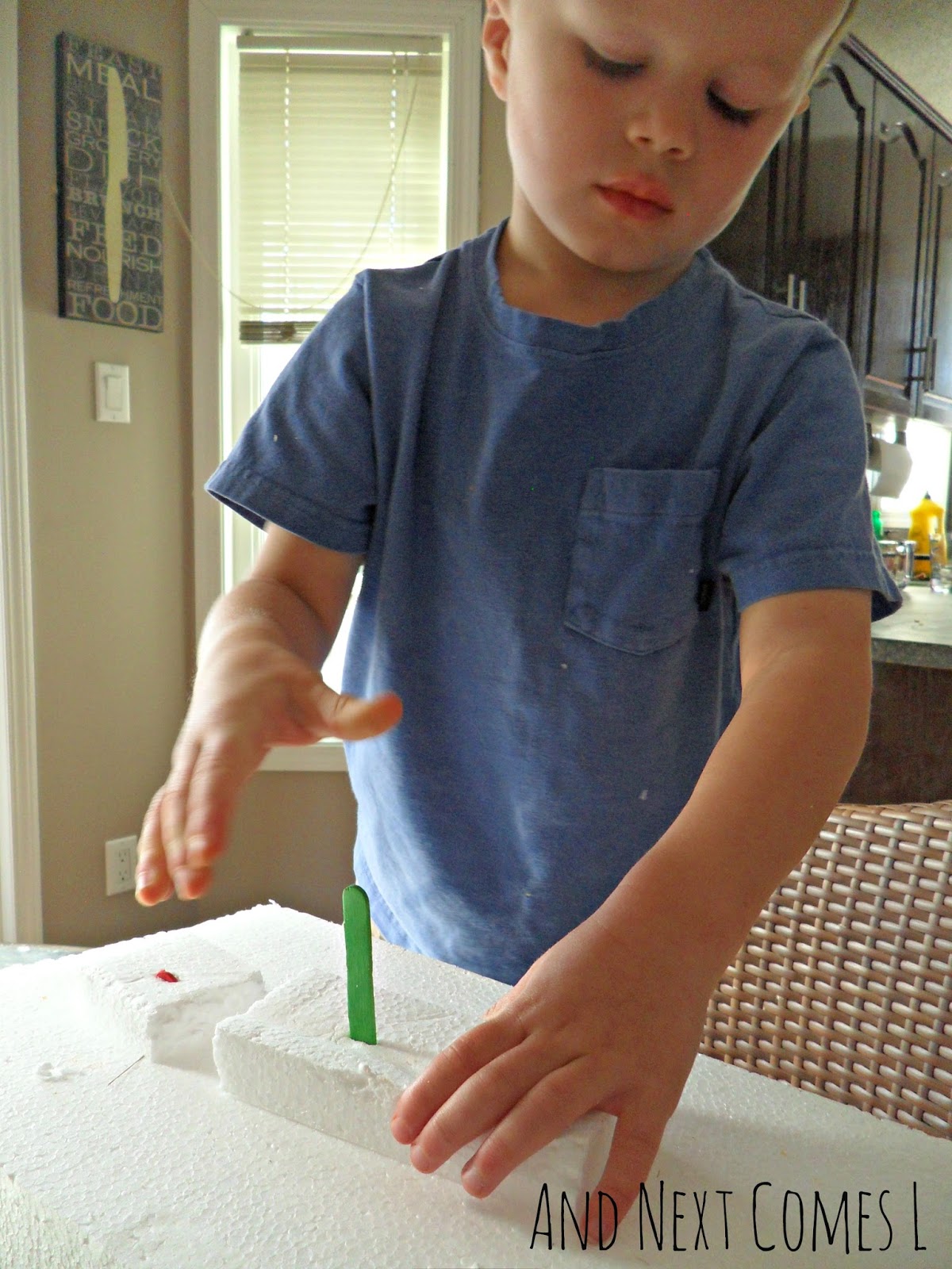 Building With Styrofoam and Colored Craft Sticks And Next Comes L