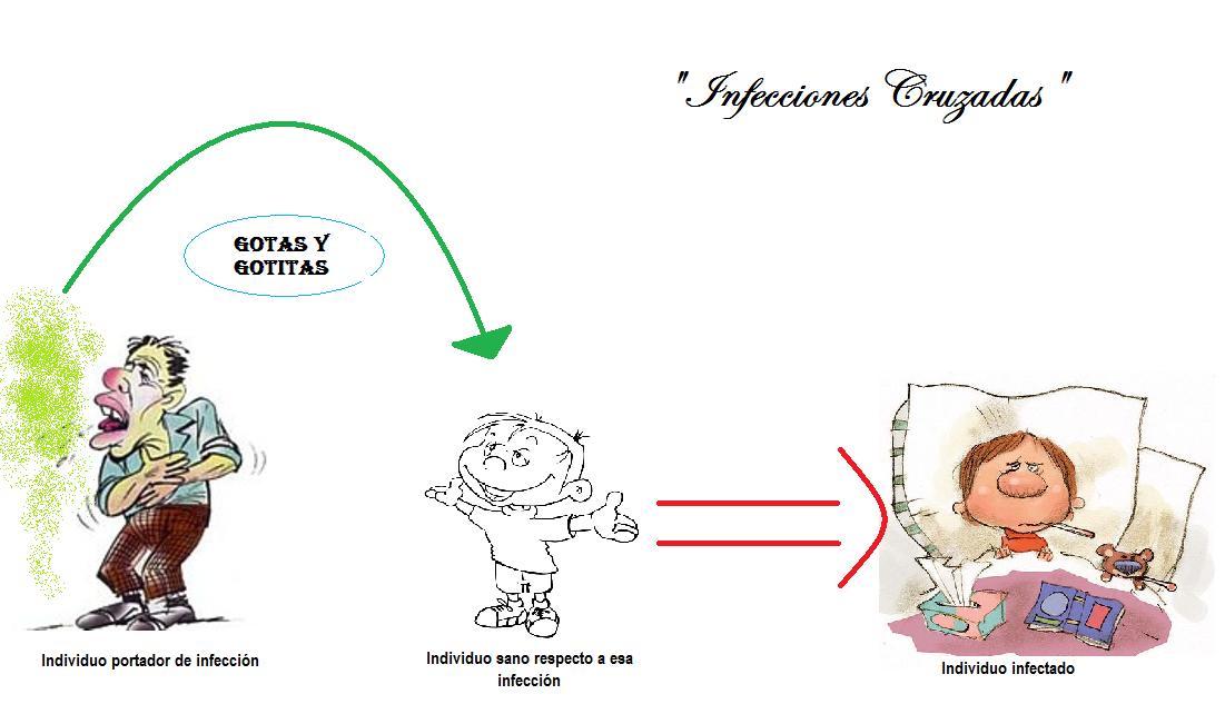 read project management the managerial process 5th