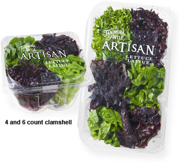 artisan lettuce artisan lettuce