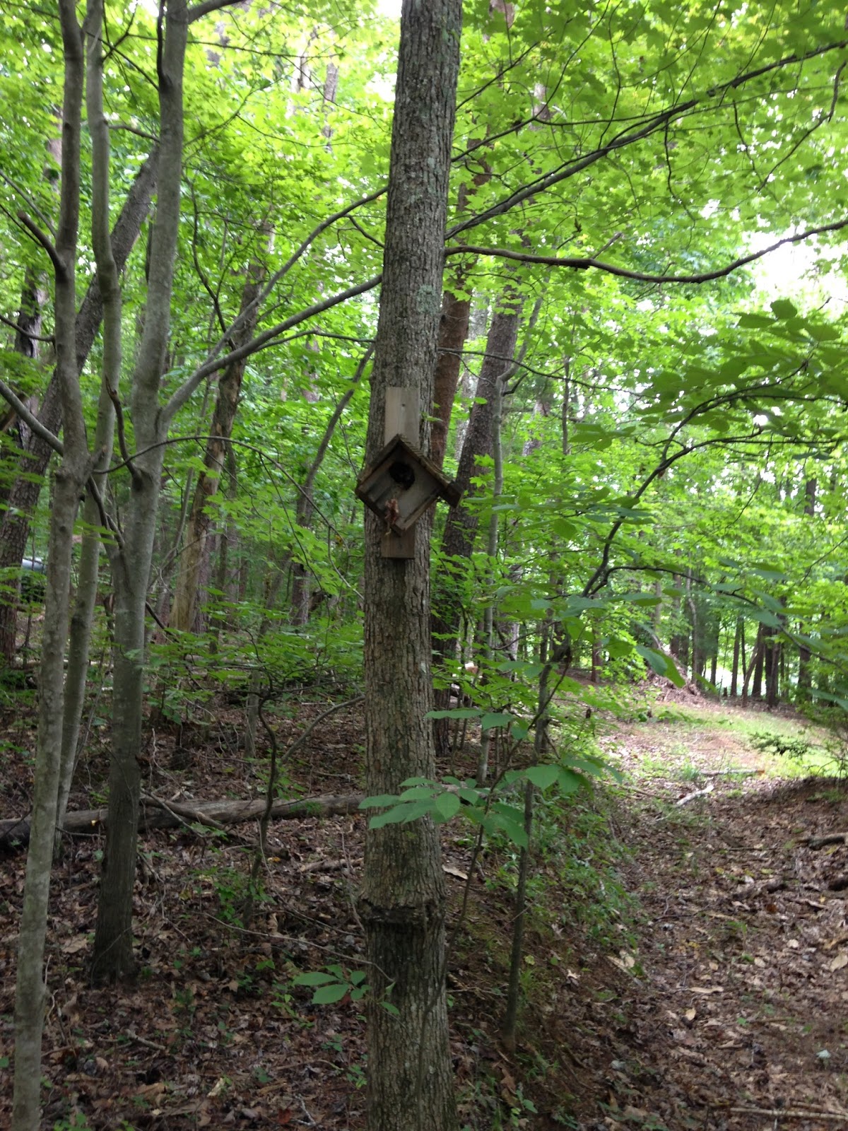 NC BACKCOUNTRY HAW RIVER STATE PARK