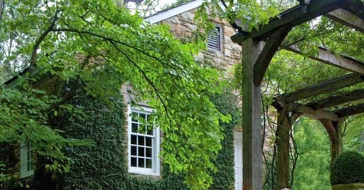 Lovely garden path & lighting! | Backyards Click