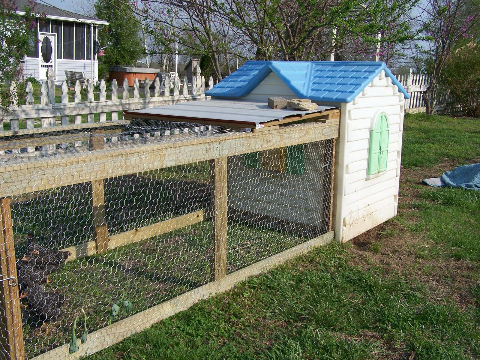 how to make a chicken coop with a metal storage shed backyard chicken 