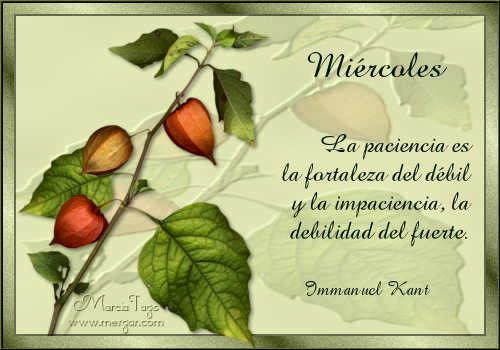 Imagen relacionada