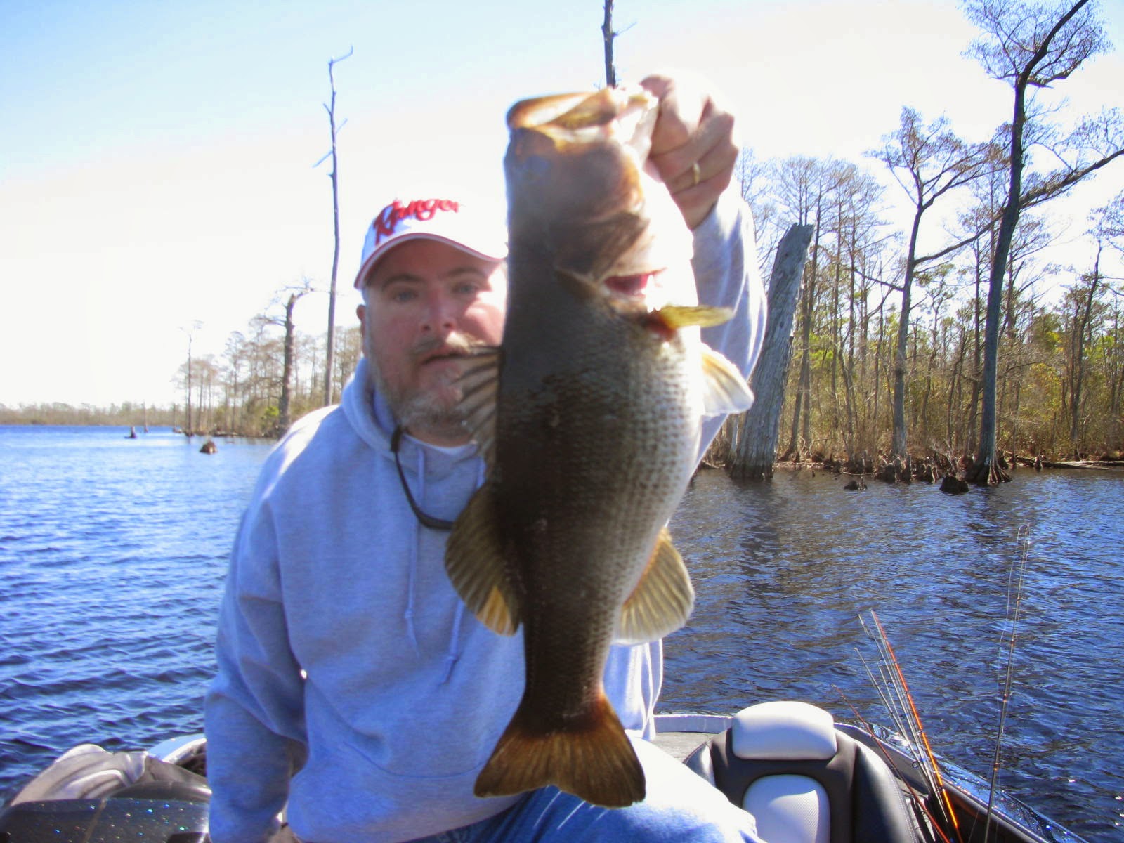 Backwateradventures Outer Banks Bass Fishing