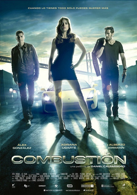 Combustion (2013)