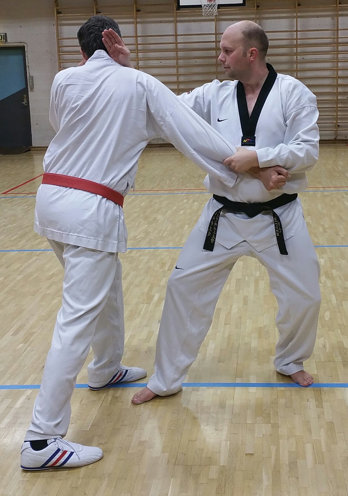 Traditional Taekwondo Ramblings The importance of "Chambering"