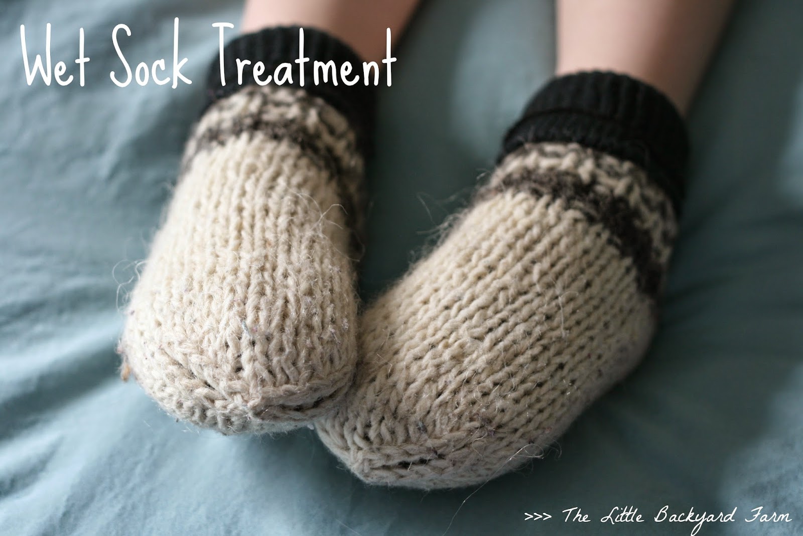 The Little Backyard Farm Wet Sock Treatment
